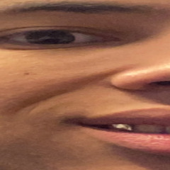 leonGS
