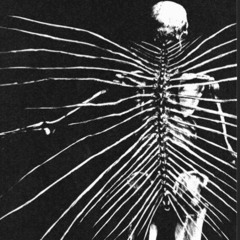 Ѧꈤ✿ʍα꒒їs̶𝖙įꏳ