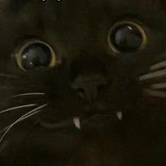 Chao stole this account loll /srs