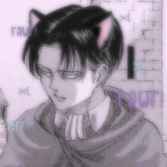 cat levi
