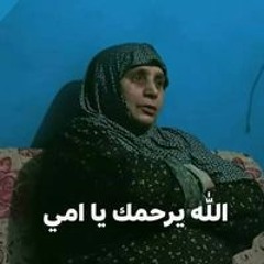 محمد على السويدى