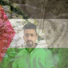 Ali Gamal