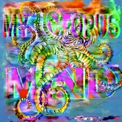 My Octopus Mind