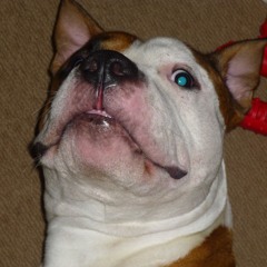 mooch
