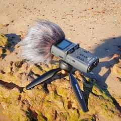 Australian Field Recording