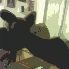 Musical Museum Records