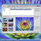 WebShots