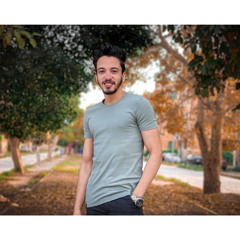 nader elsheshtawy