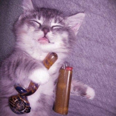 Adi đà Phật 🙏🏻