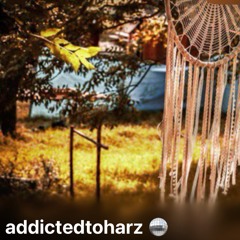 addictedtoHARZ🪩@sEINbarBAERlin