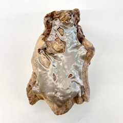 Amber Veil