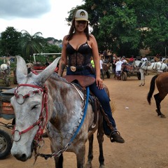 Vitoria Kelly