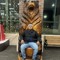 Nando_mnez