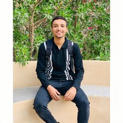 Ahmed Alaa