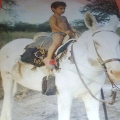 Bridas