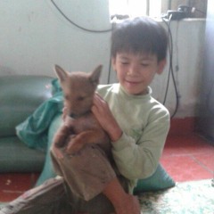 Văn Hạnh