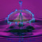 Drip productions