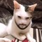 qq