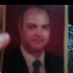 Dina Fouda