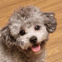 ㅈㅇ