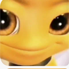 sh???