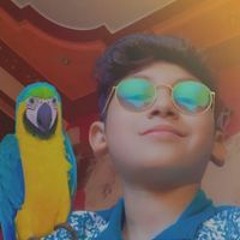 Ibrahim Sayed Kotb