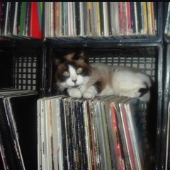 Rakim vs Pretty Lights-Fill it Up-100bpm (master) 21-14-18.mp3