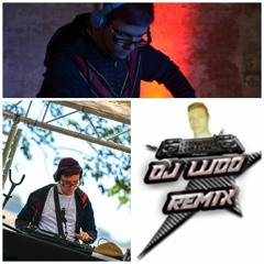 DJ LUDO REMIX 30130