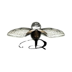 Deathwatch Beetle Repaiman