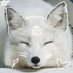 Damu