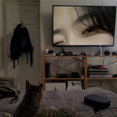chillobeyang