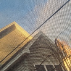 lofi.wizard_collective