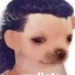 Vinícius ??????