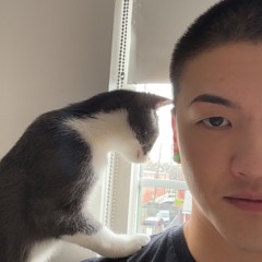 Matt Shen
