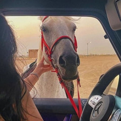 🏇🏻👩🏻‍✈️