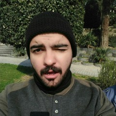 reza elahi