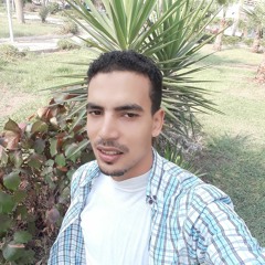 Hossam Fawzy
