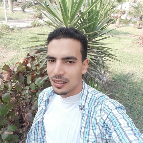 Hossam Fawzy’s avatar