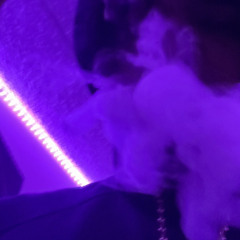 JuniThaGawdD