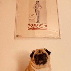 douG_da_puG