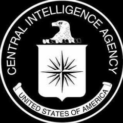 Central Intelligence Agency (CIA)