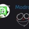 Modrobulvus