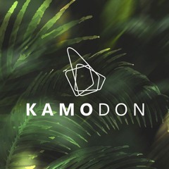 DJ Kamodon