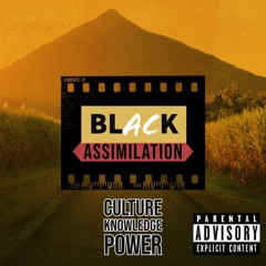 Black Assimilation