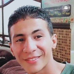 adel 2020
