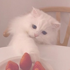 valentina <3