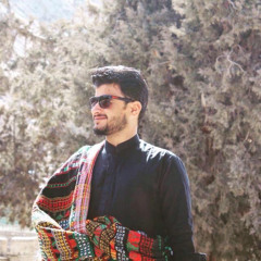IrFan ShahwaNi 1