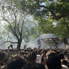 lirvoooo