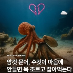 🔴사이몬스터 🔴