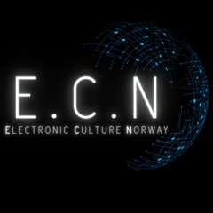 Electronic Culture Norway (E.C.N)